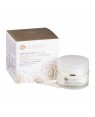 Alkemilla Crema Anti-Age Antipollution 24h