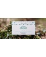 Radici Toscane Shampoo Solido Strasolido Menta