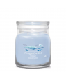 Yankee Candle Candela Profumata Signature media Ocean Air