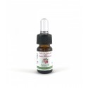 Olio per le Cuticole - Antos