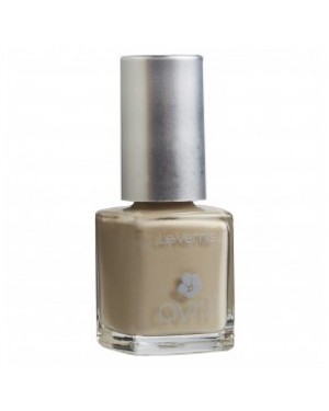 1 Smalto n. 96 Mastic Avril